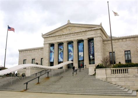 Illinois residents get free admission to the Shedd on select days this fall